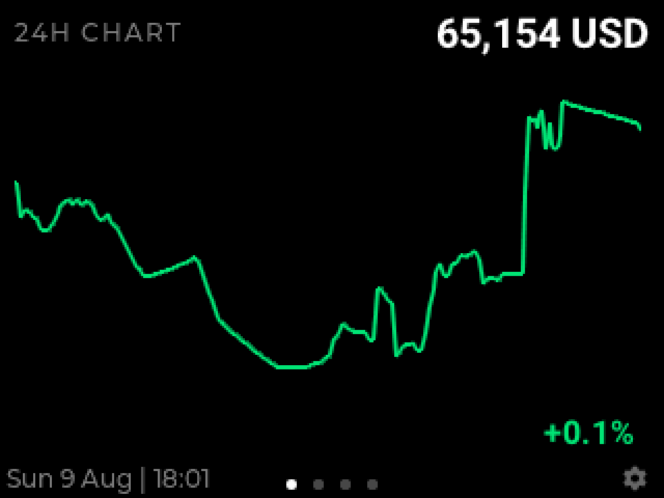 BlockTV 24-hour price chart page: a green line chart with the current price and its daily move